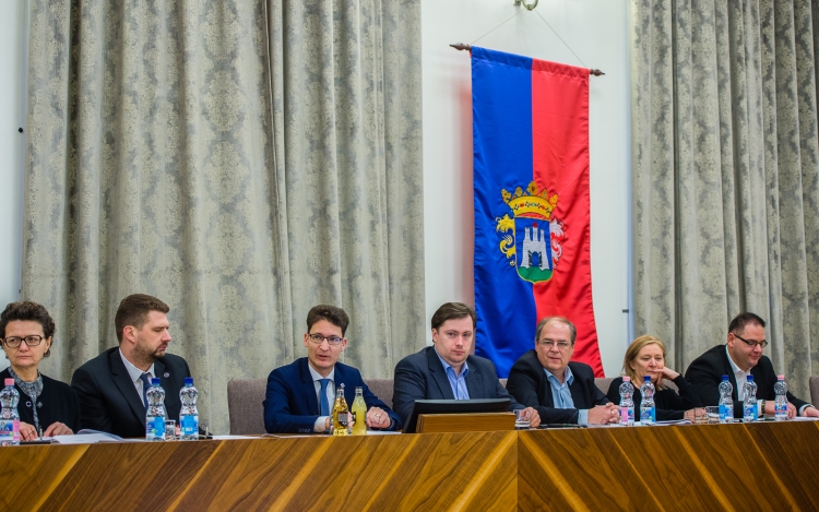 Közgyűlés - Jövőbemutató, Európai választ a történtekre