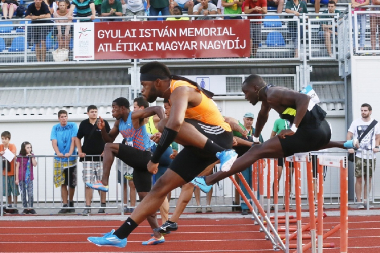 Már csak 1 nap van a rajtig - Gyulai István Memorial 2017
