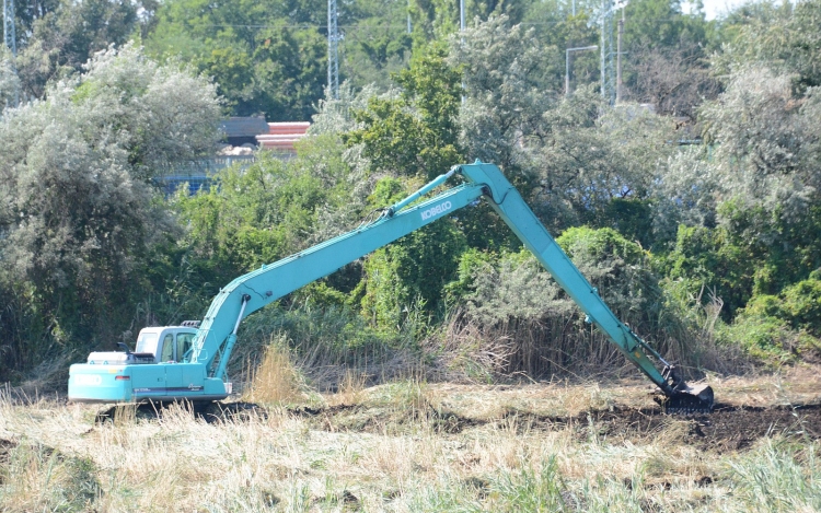 Mederkotrás és tájépítés a Sóstón