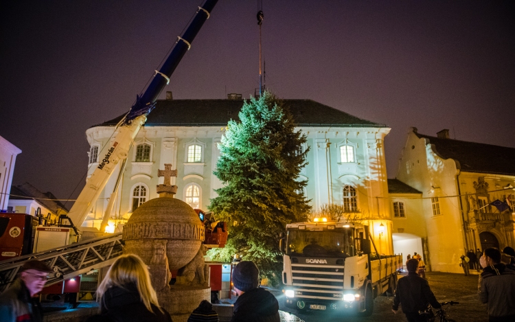 LEPSÉNYBŐL ÉRKEZETT SZÉKESFEHÉRVÁR IDEI KARÁCSONYFÁJA