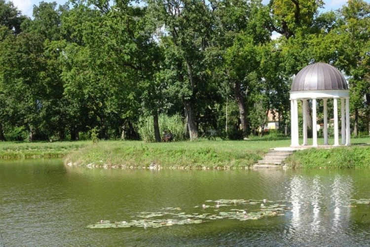 Október 15-én ismét botanikai séta a lesz a Károlyi kastély parkjában