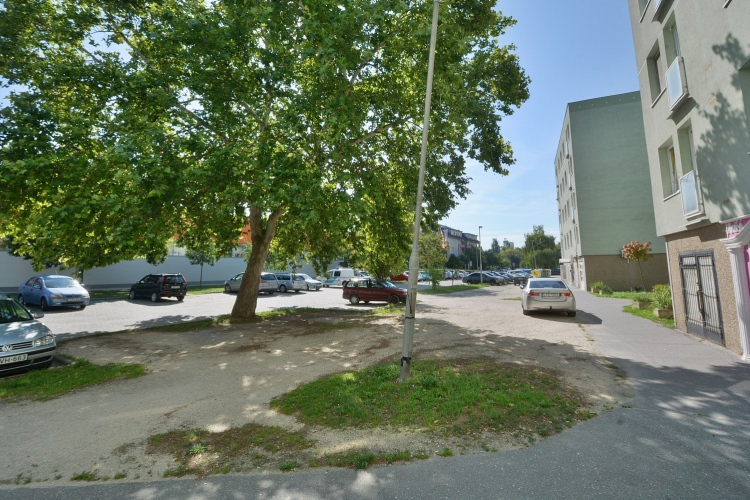 Parkolósítás a Lövölde úton