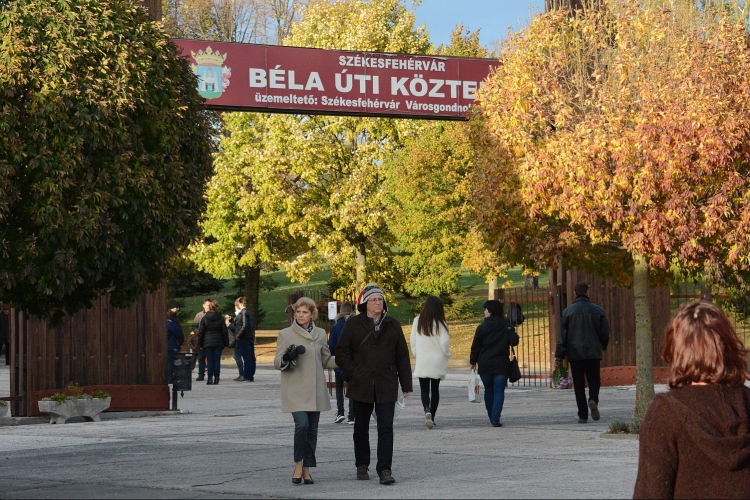 Kegyeleti napok - temetői intézkedések Székesfehérváron