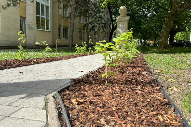 Járdafelújítások – az Ybl lakótelepen már elkészült, a Zichy ligetben ősszel kezdődik a beruházás